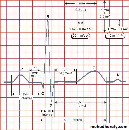 2 THE 12 LEADS STNDARD ECG