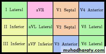 2 THE 12 LEADS STNDARD ECG