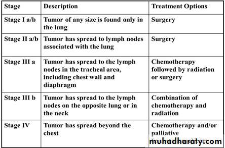Tumors of the bronchus and lung