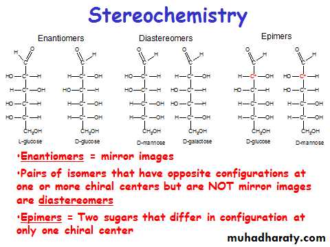 Carbohydrates