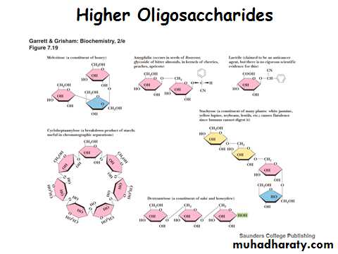 Carbohydrates