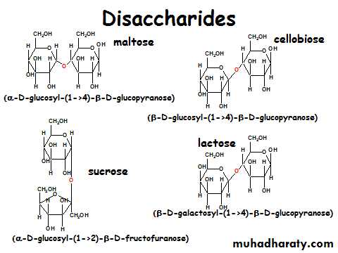 Carbohydrates