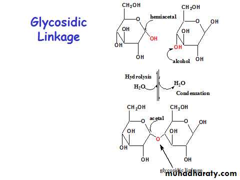 Carbohydrates