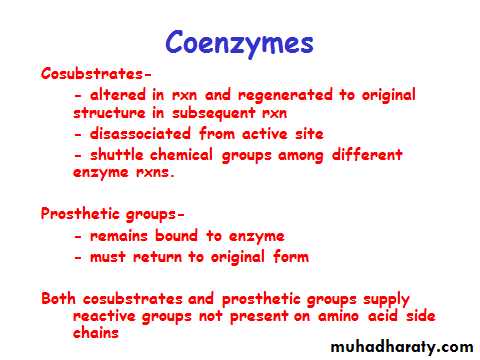 ProteinsEnzymes
