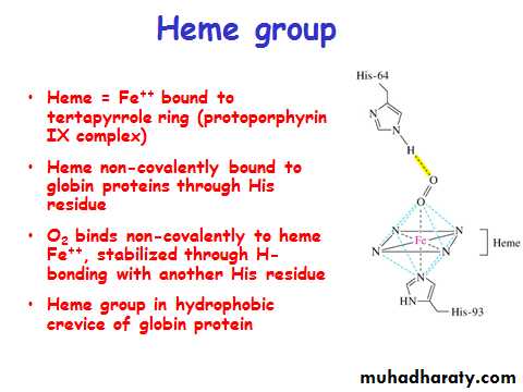 ProteinsEnzymes