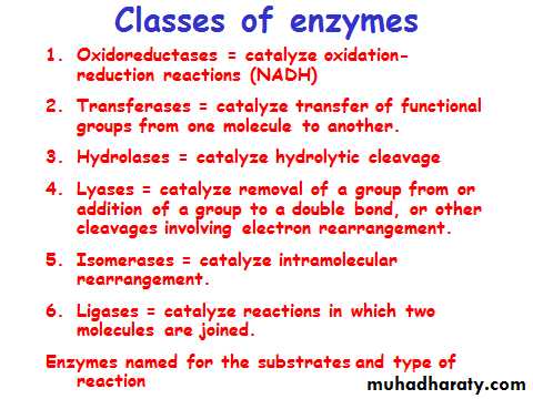 ProteinsEnzymes