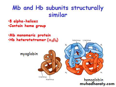 ProteinsEnzymes