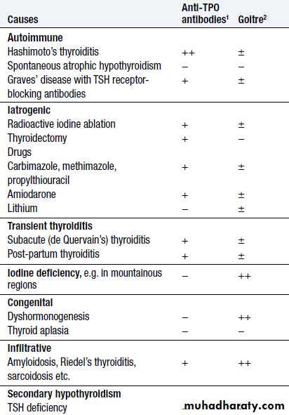 Thyroid Gland