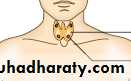 Thyroid Gland