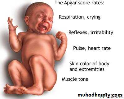 neonatal exam