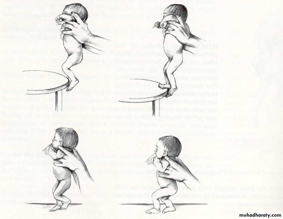neonatal exam