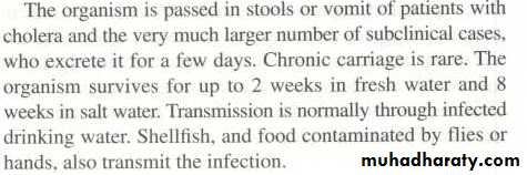 Cholera