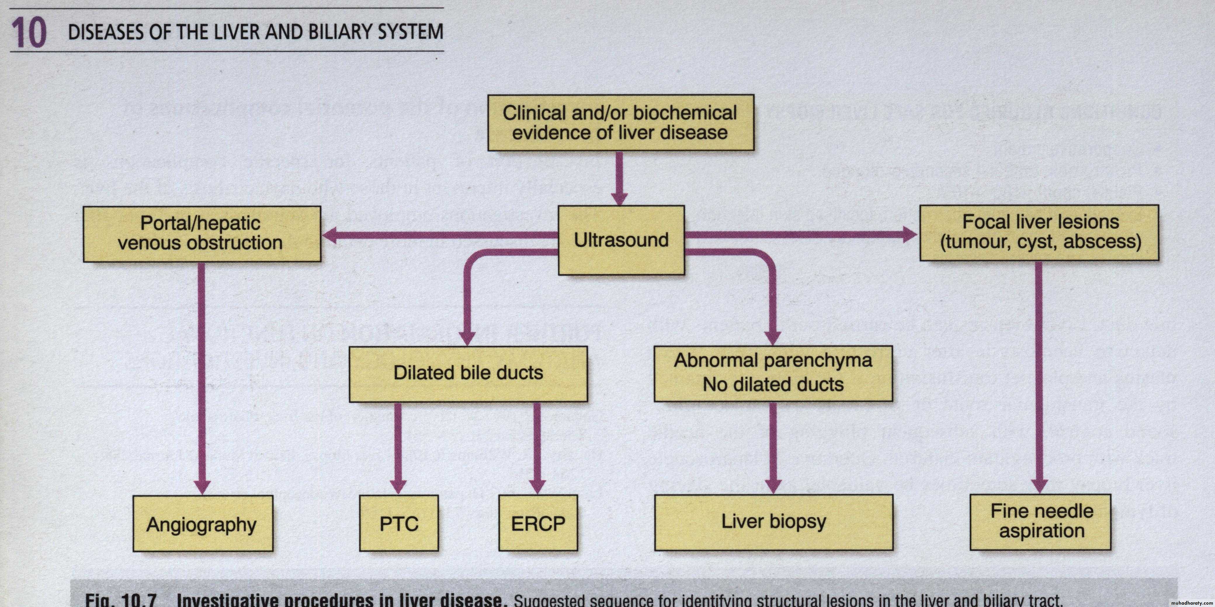 Investigations of Liver and Biliary tract 1