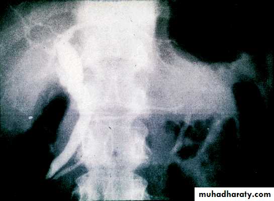 Investigations of Liver and Biliary tract 1