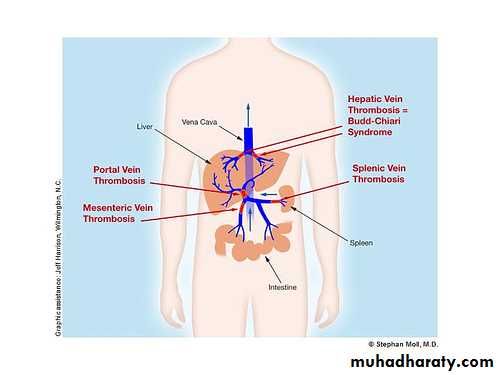 Primary biliary cirrhosis and Primary sclerosing cholangitis