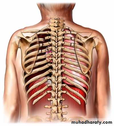Pneumothorax