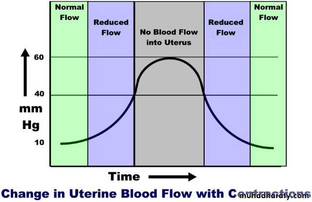 The process and mechanism of labour