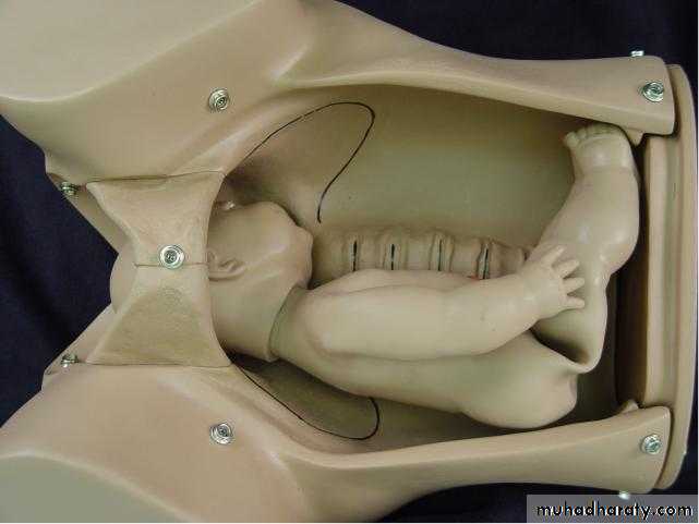The process and mechanism of labour