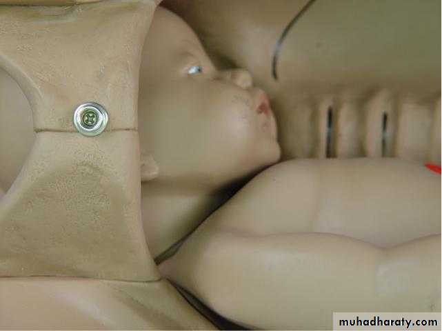 The process and mechanism of labour