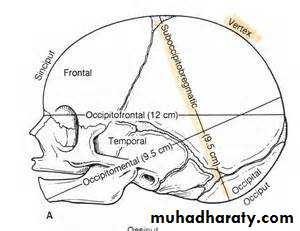 The process and mechanism of labour