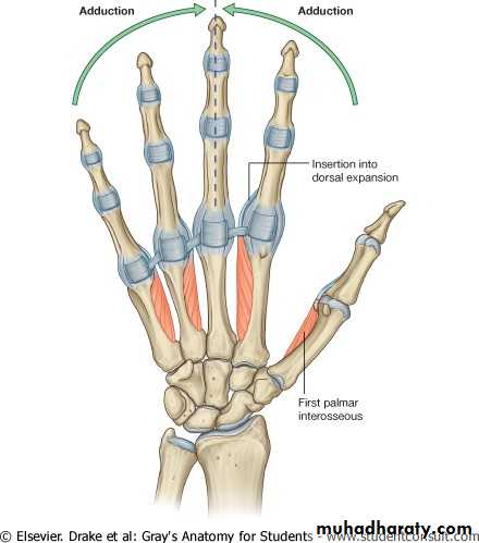 The Hand