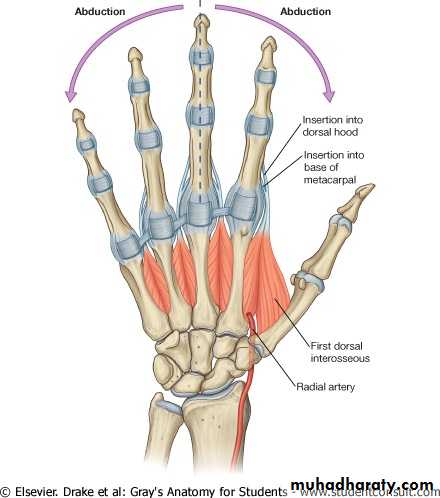 The Hand