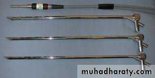 نماذج اسئلة سلايدات