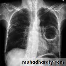 نماذج اسئلة سلايدات