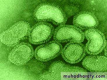 Introduction to Microbiology