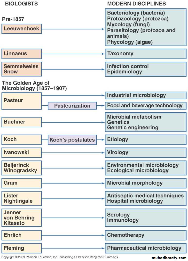 Introduction to Microbiology