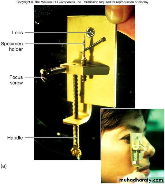 Introduction to Microbiology