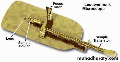 Introduction to Microbiology