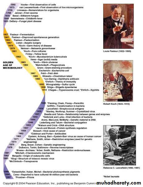 Introduction to Microbiology