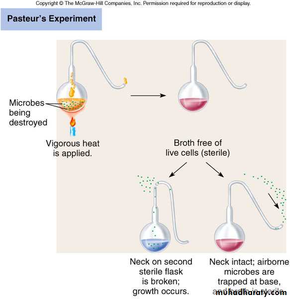 Introduction to Microbiology