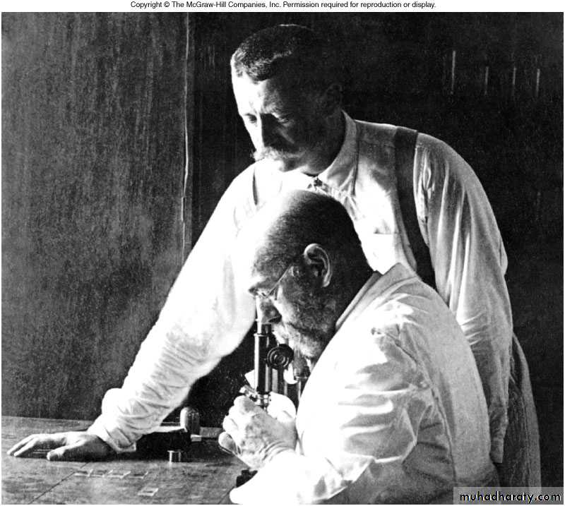 Introduction to Microbiology