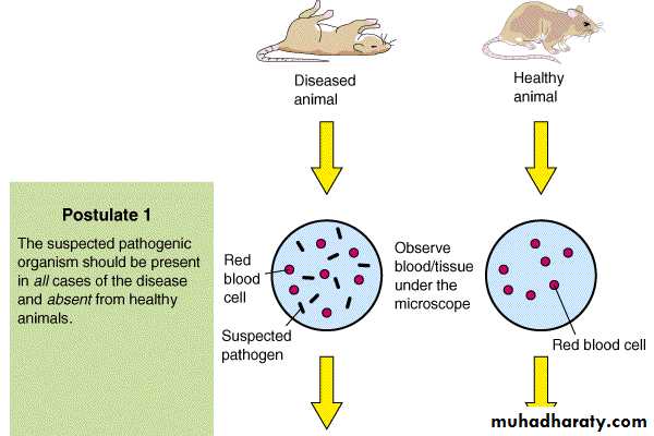 Introduction to Microbiology