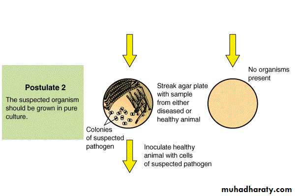 Introduction to Microbiology