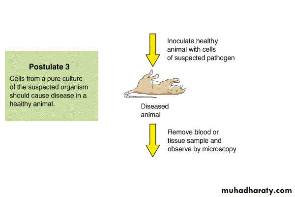 Introduction to Microbiology