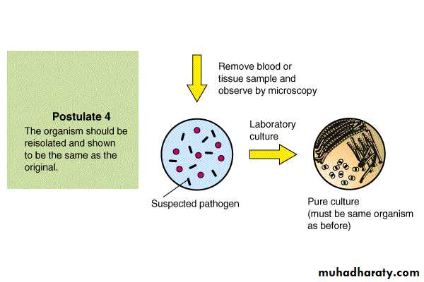 Introduction to Microbiology