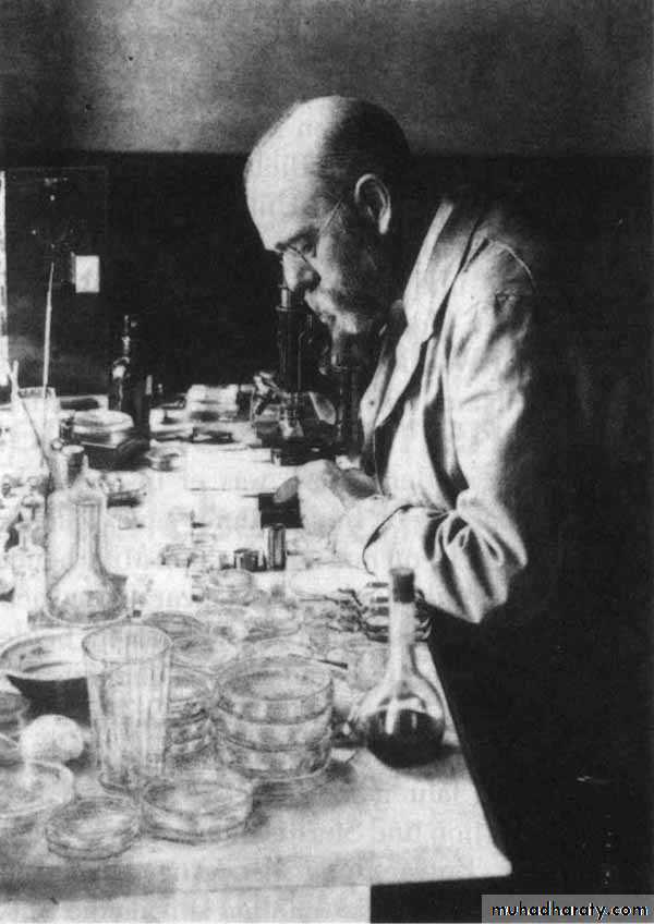 Introduction to Microbiology