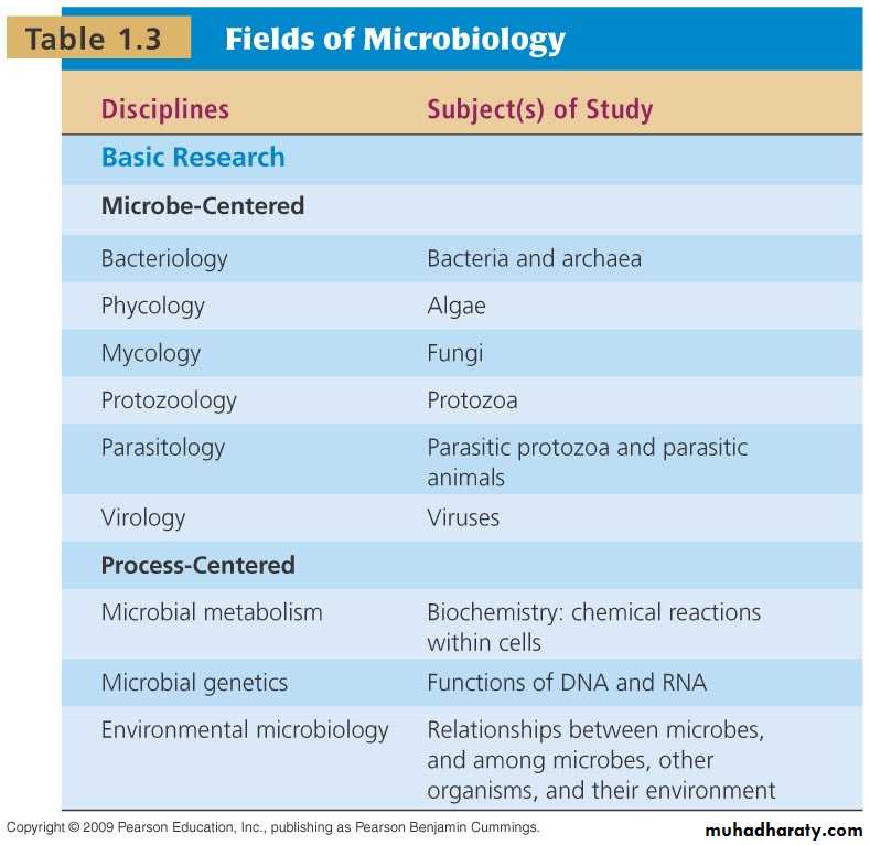 Introduction to Microbiology