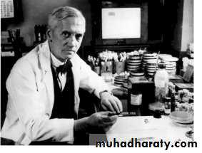 Introduction to Microbiology