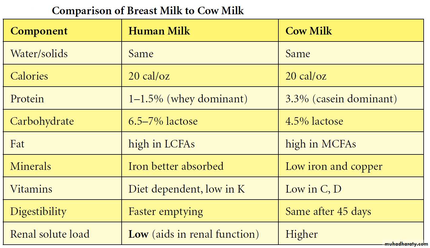 infant nutrition