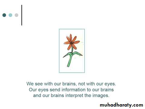 Aetiology of Psychiatric Disorders
