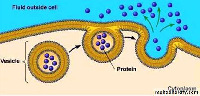 Cell physiology ppt