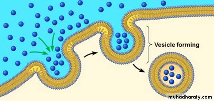 Cell physiology ppt