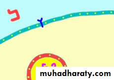 Cell physiology ppt