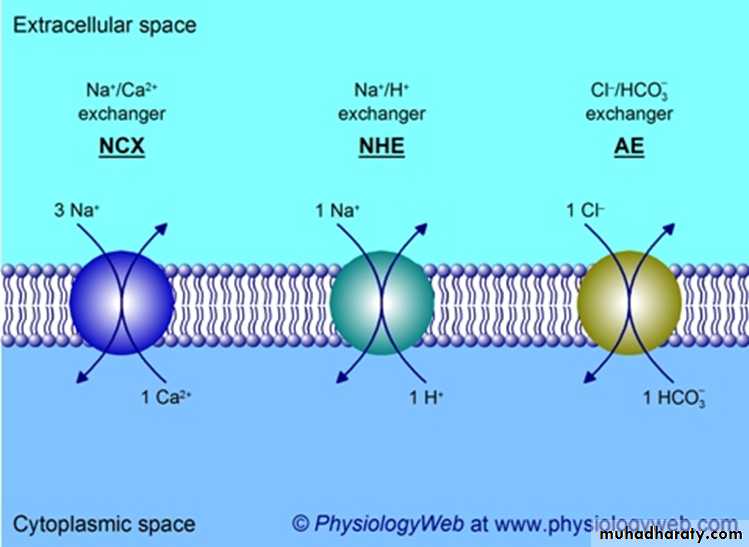 transport thorough cell membrane ppt
