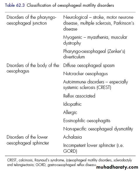 Esophagus 2