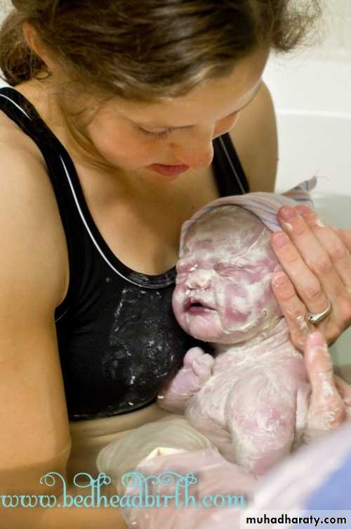 Overview of normal development of the fetus